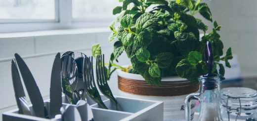 casa con plantas