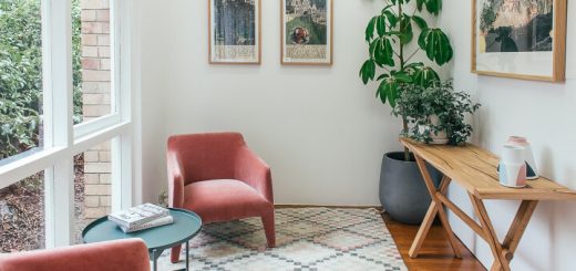 casa con plantas