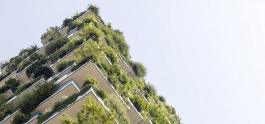 edificios verdes